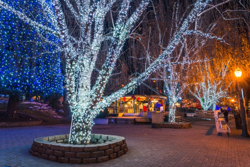 Leavenworth Winter Karneval: An illuminated tree decorated for the Leavenworth Winter Karneval.